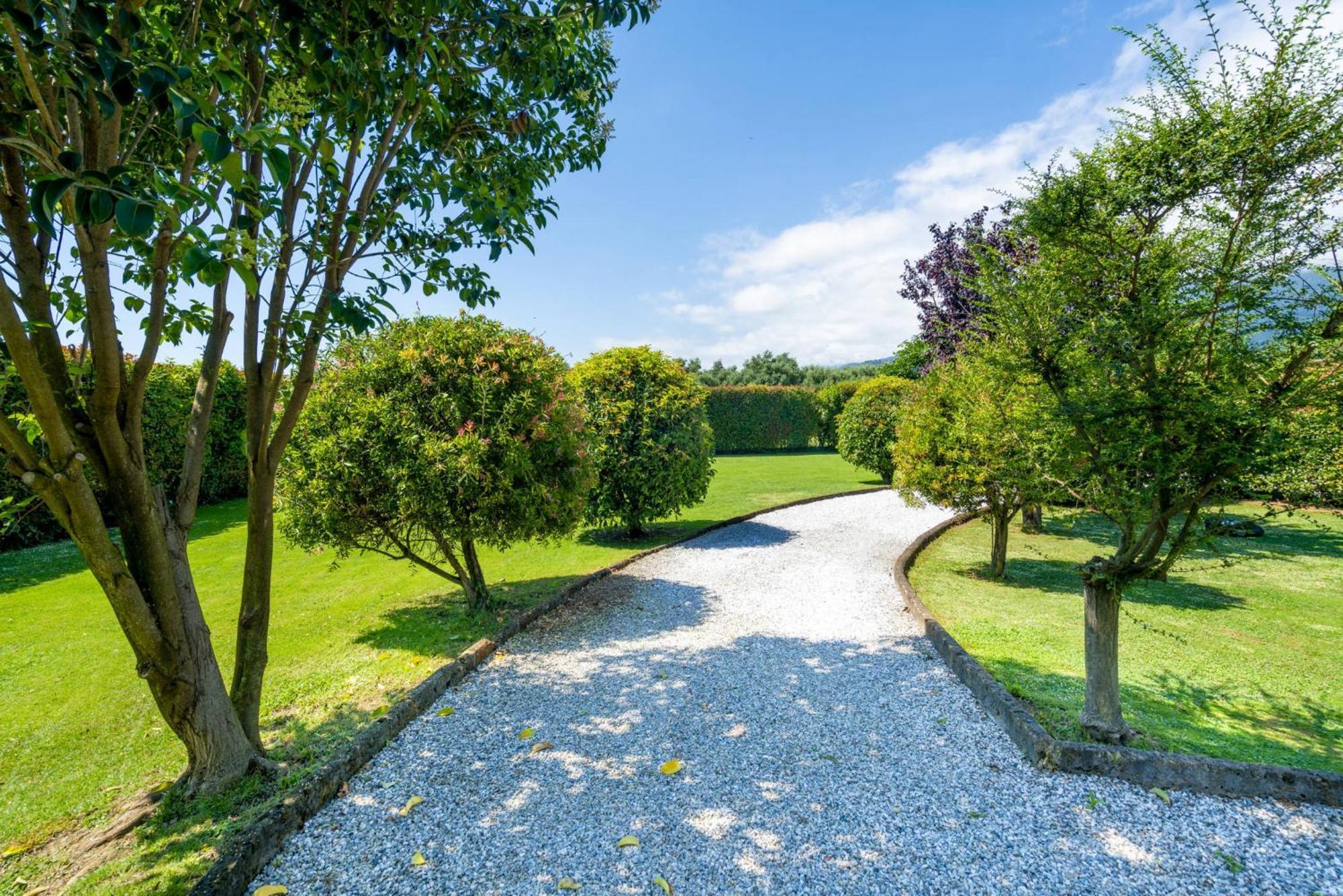Villa Lorenzo Querceta Zewnętrze zdjęcie